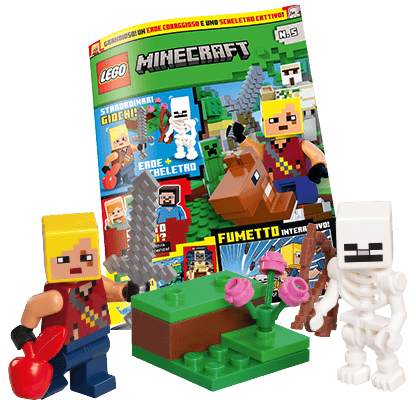 LEGO® MINECRAFT N.5