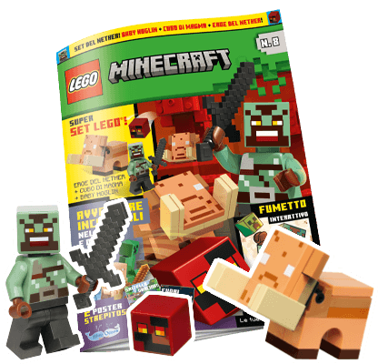 LEGO Minecraft N.8