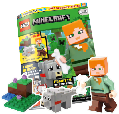 LEGO® MINECRAFT N.11