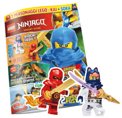 LEGO NINJAGO PLUS N.11